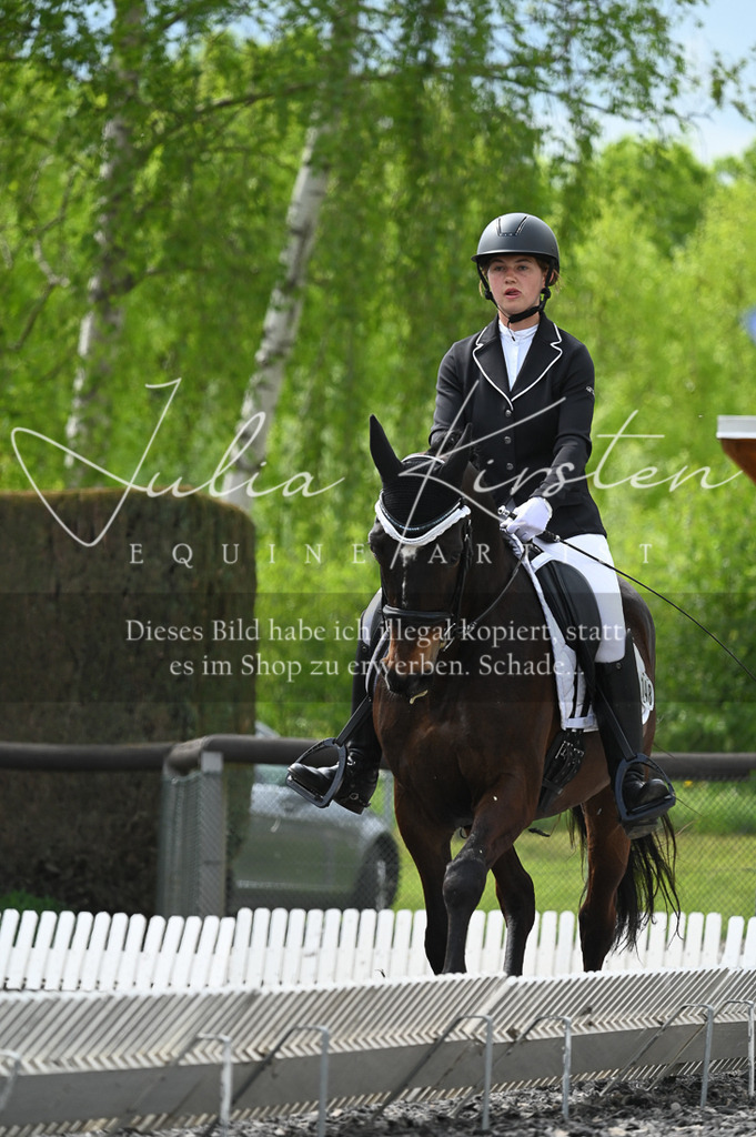 20230512_JK-Röhrsdorf-08-167 | Pferde- und Turnierfotografie in Westsachsen. Pferdeportraits, Auftragszeichnungen und intuitive Kunst.