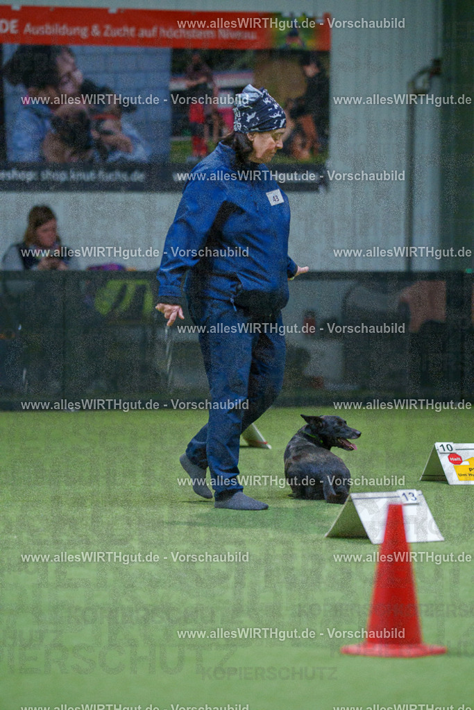 7R501222 | Professionelle Tierfotografie in Mönchengladbach von Daniel Wirth (allesWIRTHgut). Liebevolle & natürliche Bilder von Hunden & Katzen für unvergessliche Erinnerungen.