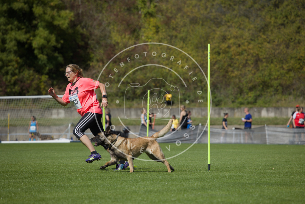0L8A6518 | Hundefotografie, Tierfotograf, Pfotenfotografie, Fotoshooting Hund, Hunde Portrait, Hundesport, Hundeportraits, Heideshooting, Hunde, Sportfotograf, Hundefotograf, Turnierhundsport, THS,  - Realisiert mit Pictrs.com