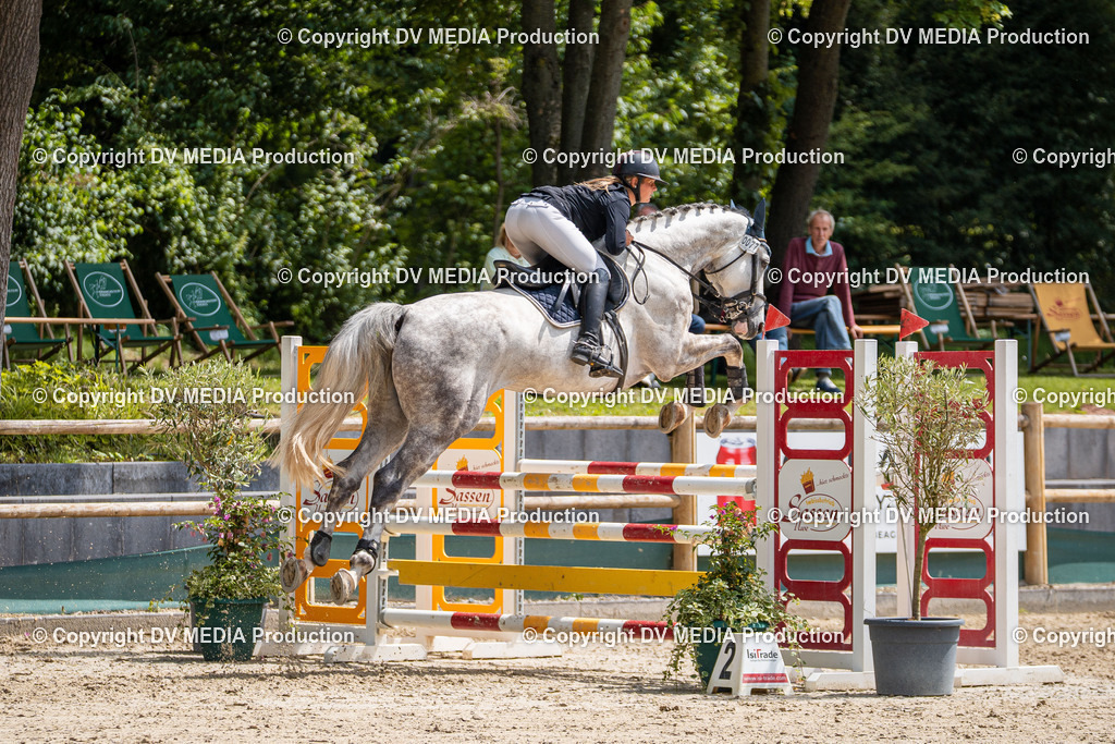 Hessische Tag 1-225 | dv-media-shop - Realisiert mit Pictrs.com