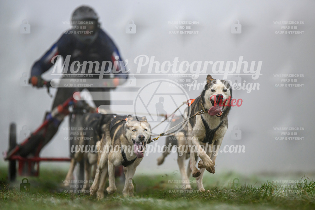 MompixPhotography_CDF2023_FFST_Di_Kart-22 | PayLife