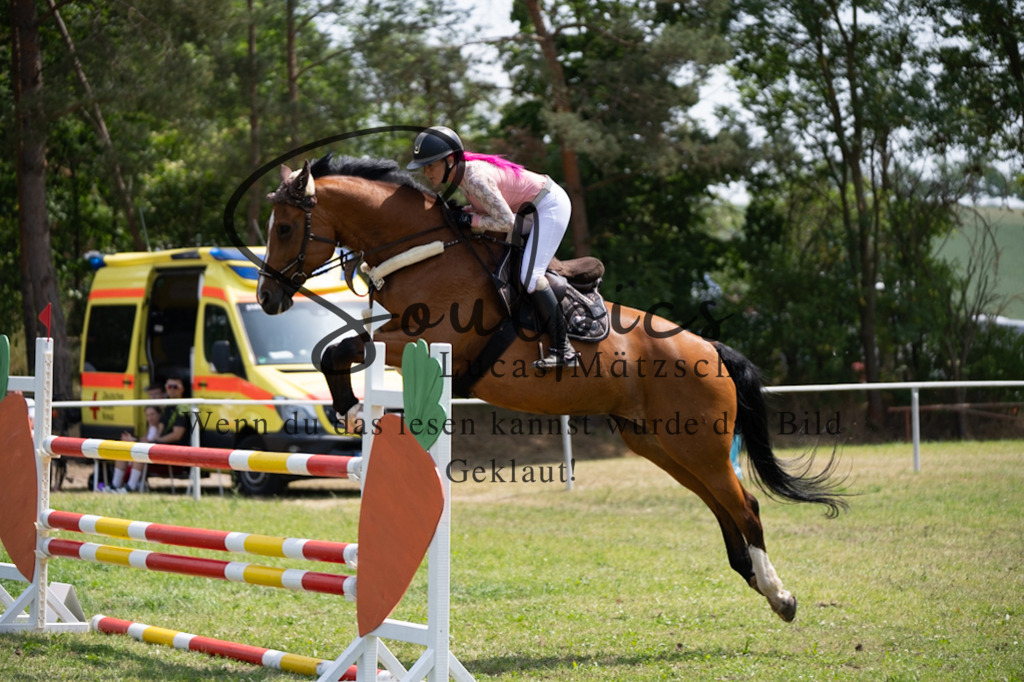 A7V07308 | Pferdefotograf