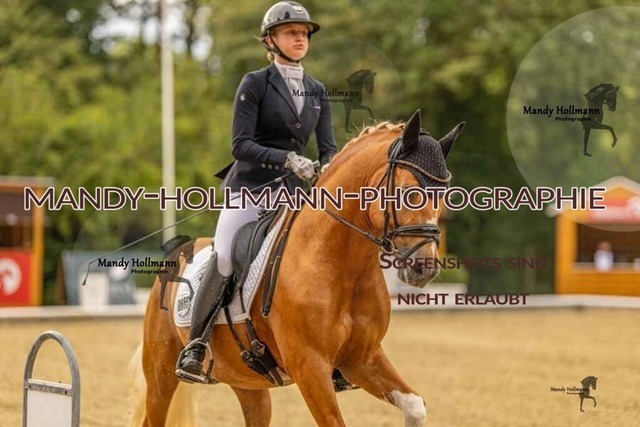 28-8-26 5j DRE-122 | mandyhollmannphotographie