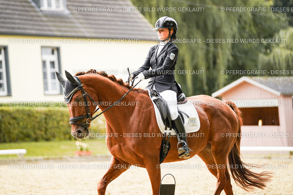 DSC01724 | Pferdegrafie