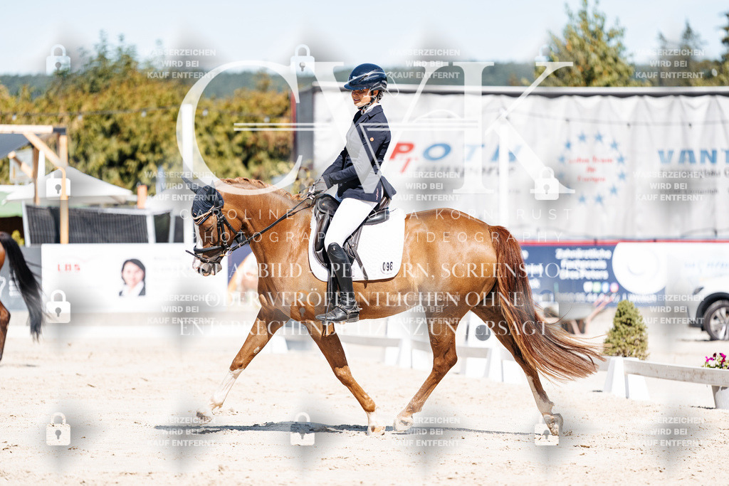 CK909167 | Turnierfotografie Pferdefotografie Trier Rheinland-Pfalz Pferdesport Reitsport Tierfotografie Sportfotografie Pferdevideo Pferdevideografie Equestrianvideography equestrianphotography  - Realisiert mit Pictrs.com