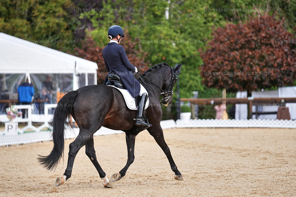 10-115-ST.GEORG SPECIAL -Marixx-3348 | working equitationturnier fotograf videograf stoibphotography marixx film working equitation deutschland reitsport turnierfotografie eventfotografie equestrian events