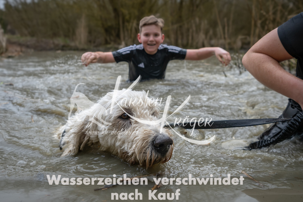 1439_ZZ99930 | kk-dogfotos