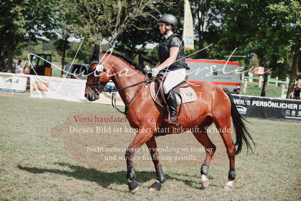 DSC_5677 | Pferde- und Turnierfotografie in Westsachsen. Pferdeportraits, Auftragszeichnungen und intuitive Kunst.
