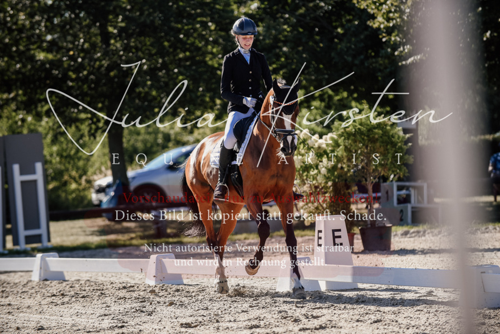 DSC_0352 | Pferde- und Turnierfotografie in Westsachsen. Pferdeportraits, Auftragszeichnungen und intuitive Kunst.