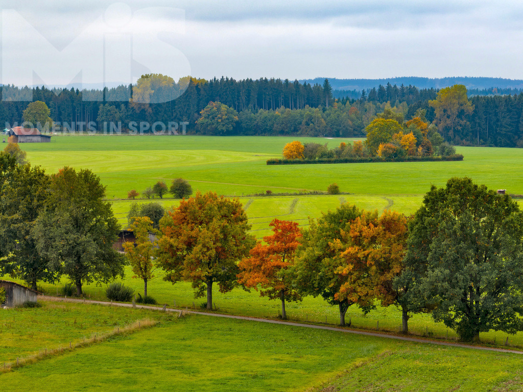 mis310719RF02.JPG | 10.10.2022, Bad Wörishofen im Unterallgäu,  Das Laub der Bäume verfärbt sich bunt - Realisiert mit Pictrs.com