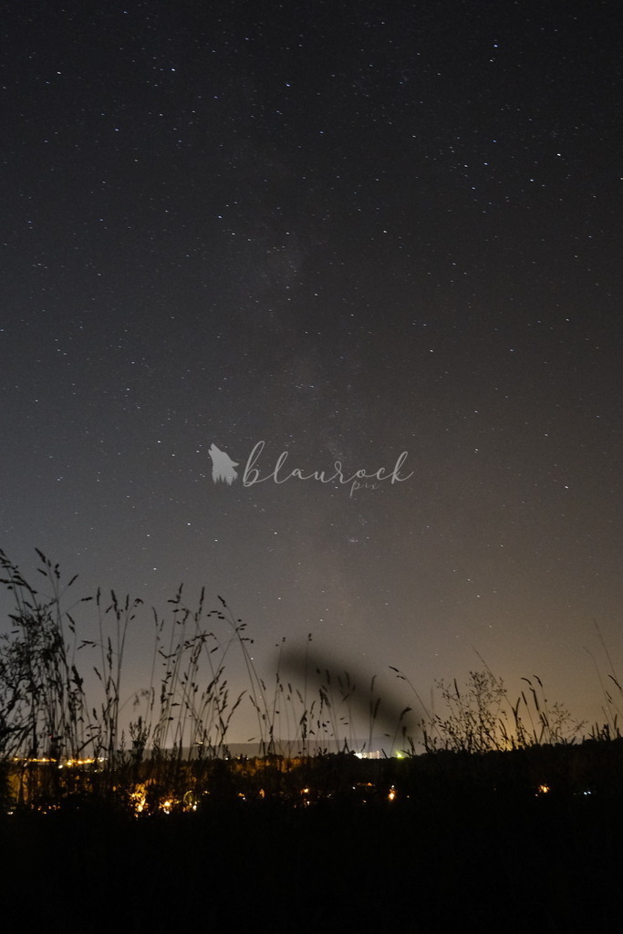 DSCF2454 | Sportbilder, Sportfotograf, Hochzeits- und Eventfotografin, Flugshows, Portraits und Tiershooting, Aviation, Downhill, Nationalleague, Swissleague, International