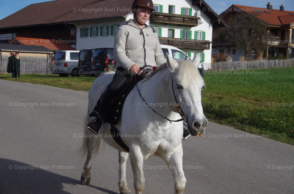IMGP1641 | fotografiert von Axel PollmannLeonhardi Wallfahrt Benediktbeuern und Murnau, Fronleichnam, Fasching, Landschaft im Loisachtal und Benediktbeuern  - Realisiert mit Pictrs.com