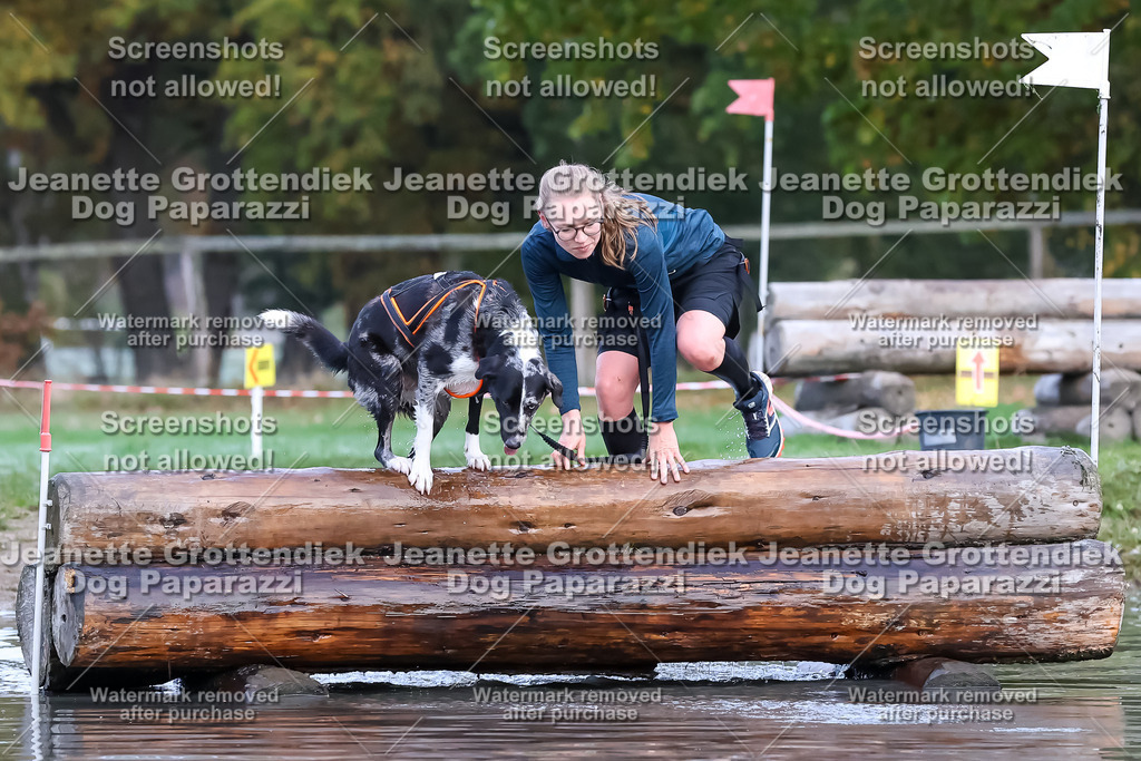 Dog Paparazzi - Strongdog 10-25-6357 | Dog Paparazzi Jeanette Grottendiek Fotografie & Videografie - Realisiert mit Pictrs.com