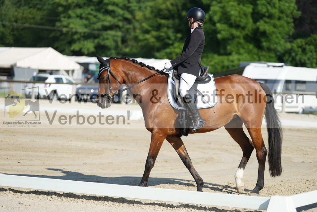 DSC04040 | equestrian-live-com