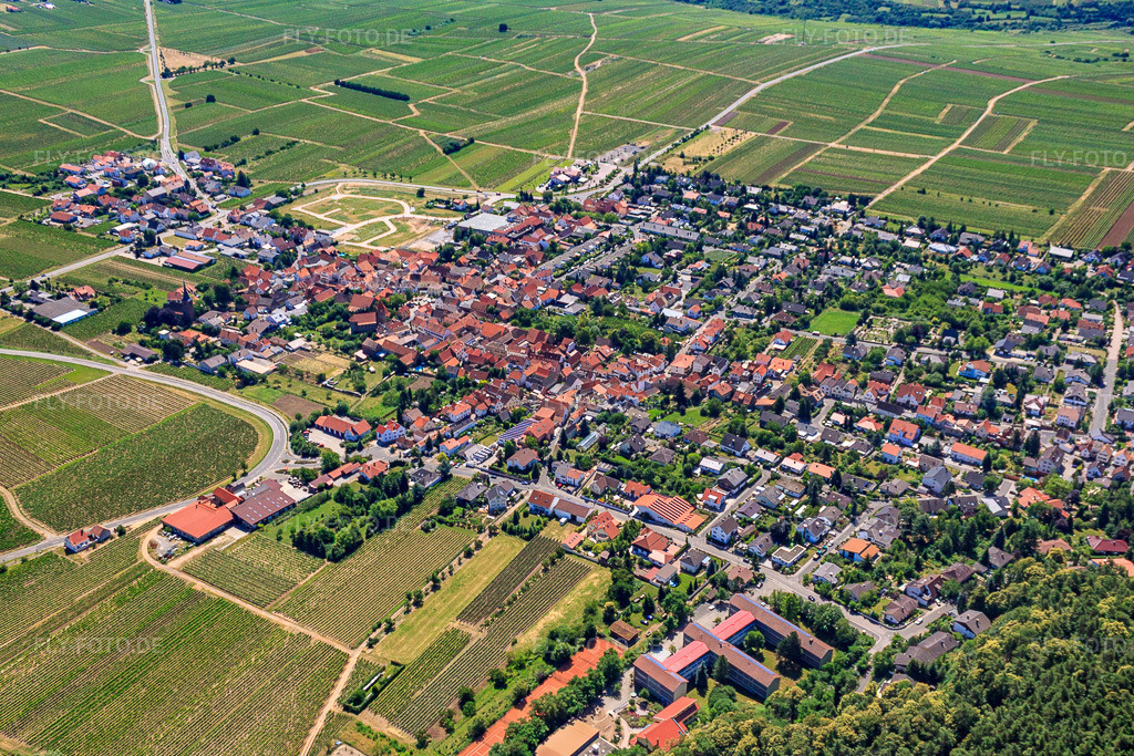 Luftbild: Dorfansicht in Bobenheim am Berg im Bundesland Rheinland-Pfalz in Deutschland. Foto: IMG_30114.jpg vom 05.07.2010 durch Werner Riehm/FLY-FOTO.de