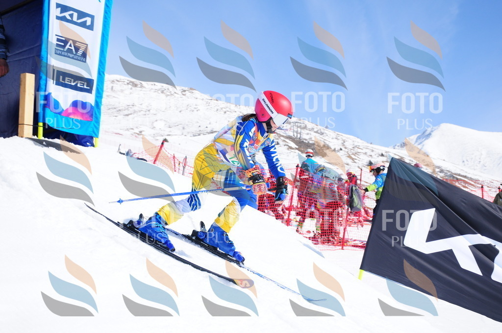 DSC_1019 | holidayphoto