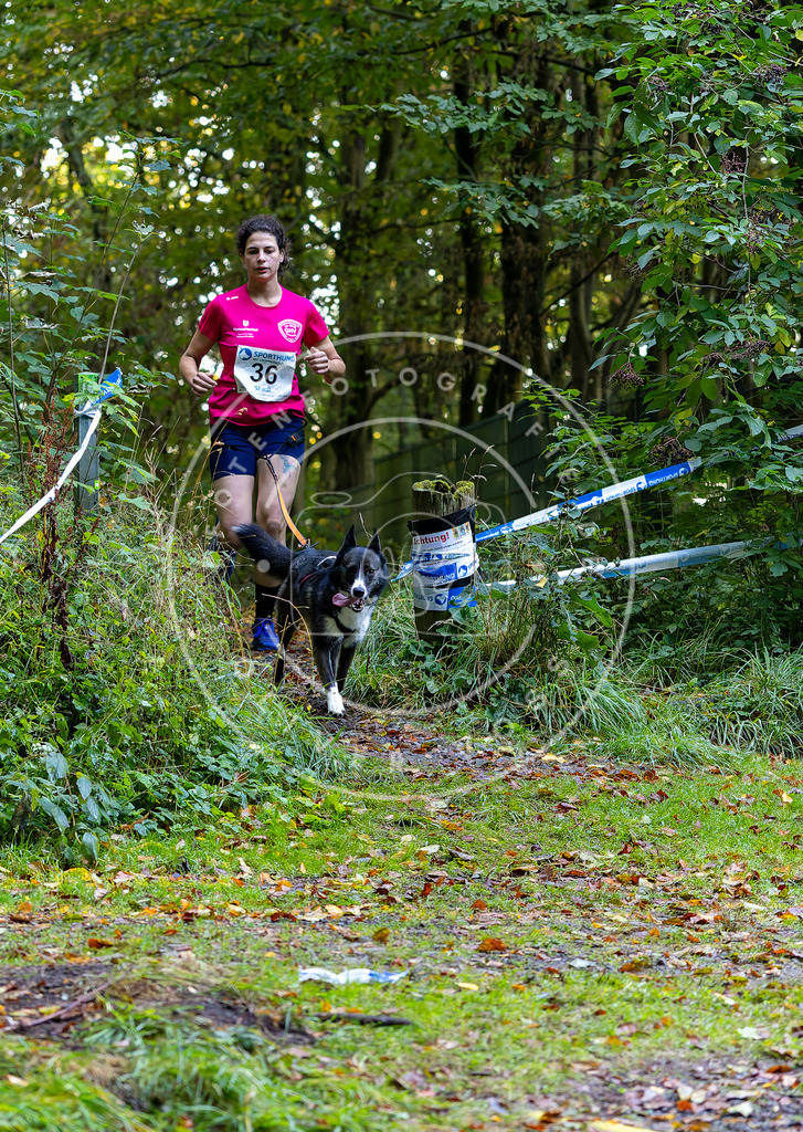 Pfotenfotografie_DV3A6736 | Hundefotografie, Tierfotograf, Pfotenfotografie, Fotoshooting Hund, Hunde Portrait, Hundesport, Hundeportraits, Heideshooting, Hunde, Sportfotograf, Hundefotograf, Turnierhundsport, THS,  - Realisiert mit Pictrs.com