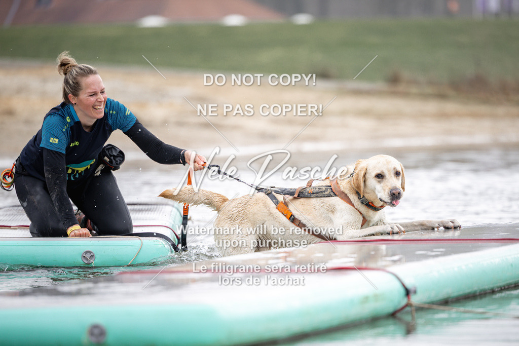 nelerasche_Hulsbeek_Sa1100-1130_458 | nelerasche