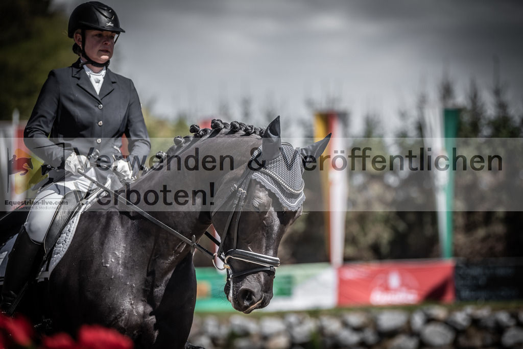 DSC_0175 | equestrian-live-com