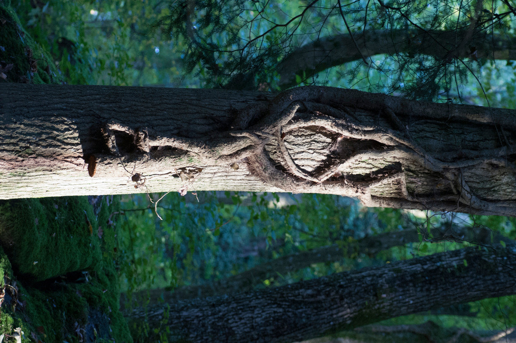 97 | KONICA MINOLTA DIGITAL CAMERA