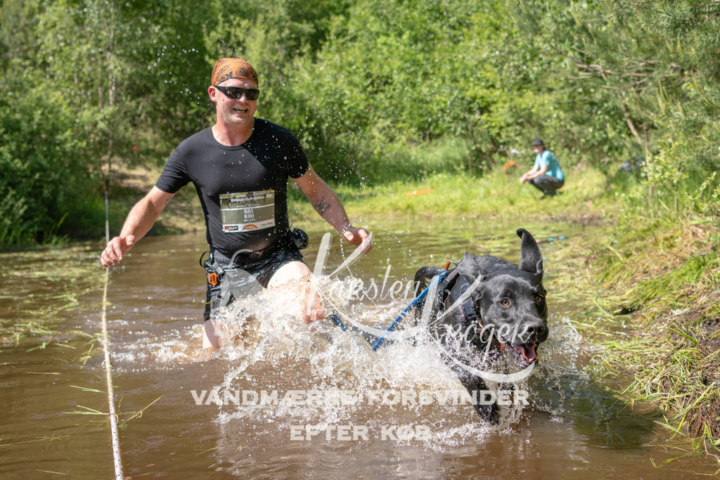 1458DKK992212 | kk-dogfotos