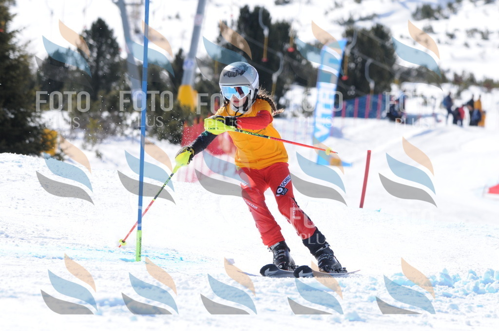 C8912 | holidayphoto