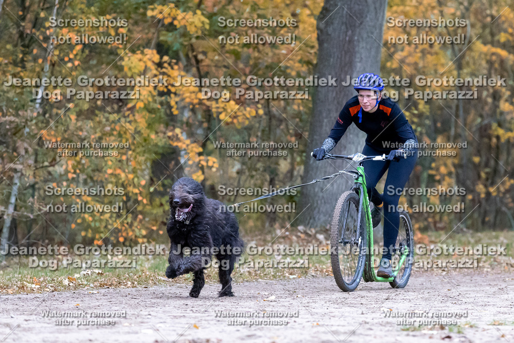 Dog Paparazzi - SD CaniX Championship 2025-193 | Dog Paparazzi Jeanette Grottendiek Fotografie & Videografie - Realisiert mit Pictrs.com