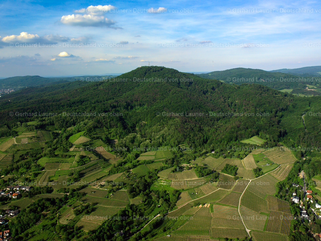 2598062 | Blick auf die Weinberge zw. Auerbach und Zwingenberg