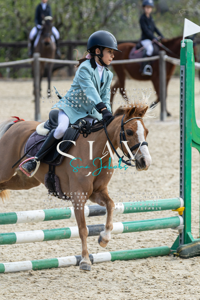 IMG_4684 | s-jay-photography - Realisiert mit Pictrs.com