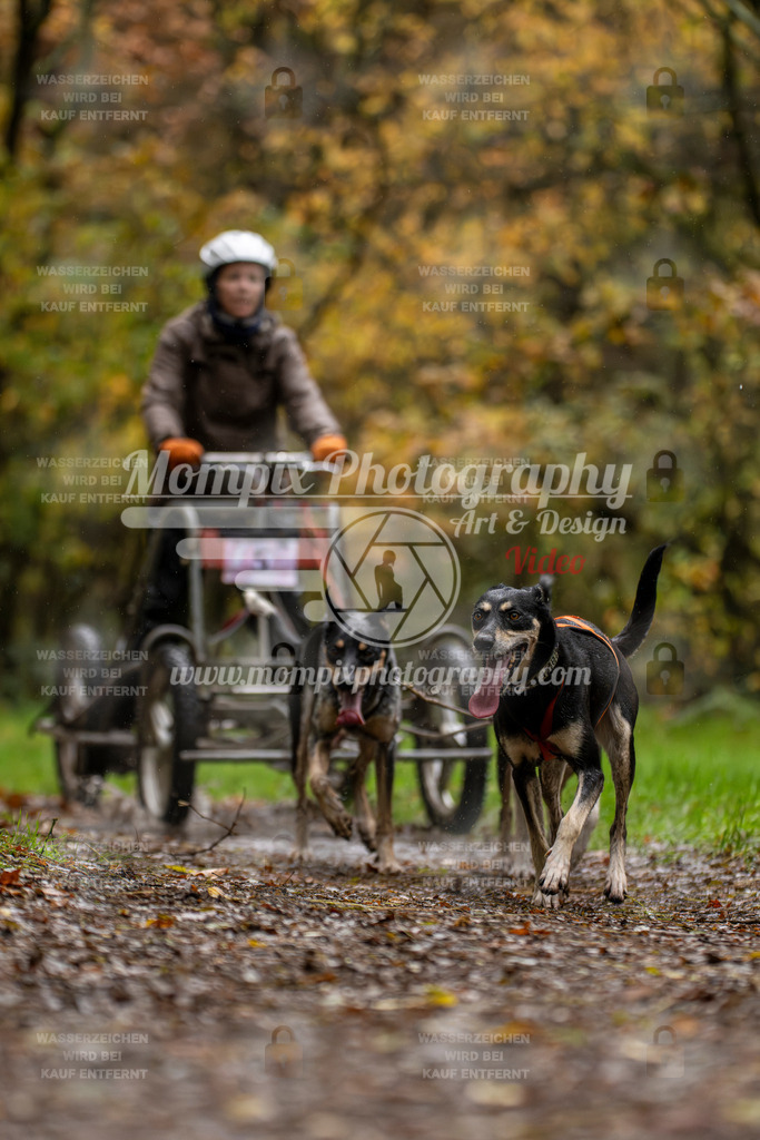 MompixPhotography_Bischwiller23_Kart-11 | PayLife