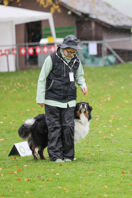 2025_Rally_Obedience_SM-29 | Ich fotografiere Hundeausstellungen, Sportanlässe, Zuchtstätten, Hundezucht, Hundeportrait, Lagotto - Realisiert mit Pictrs.com