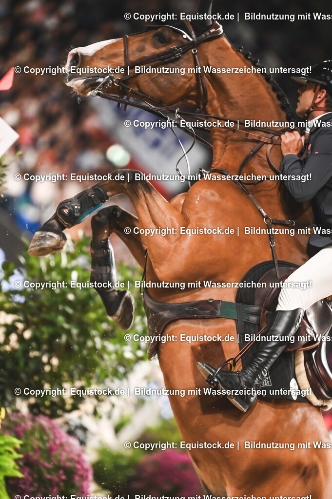 20241117_Großer-Preis_TOMsPiC_0274 | Foto: Thomas Hartig