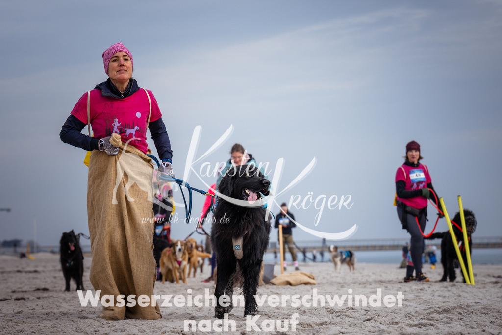 1251_ZZ96308 | kk-dogfotos