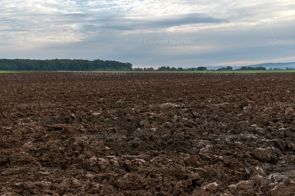 CAR_Agri_plowed20 | Camera height 1,60m - light 2/20° - Realisiert mit Pictrs.com