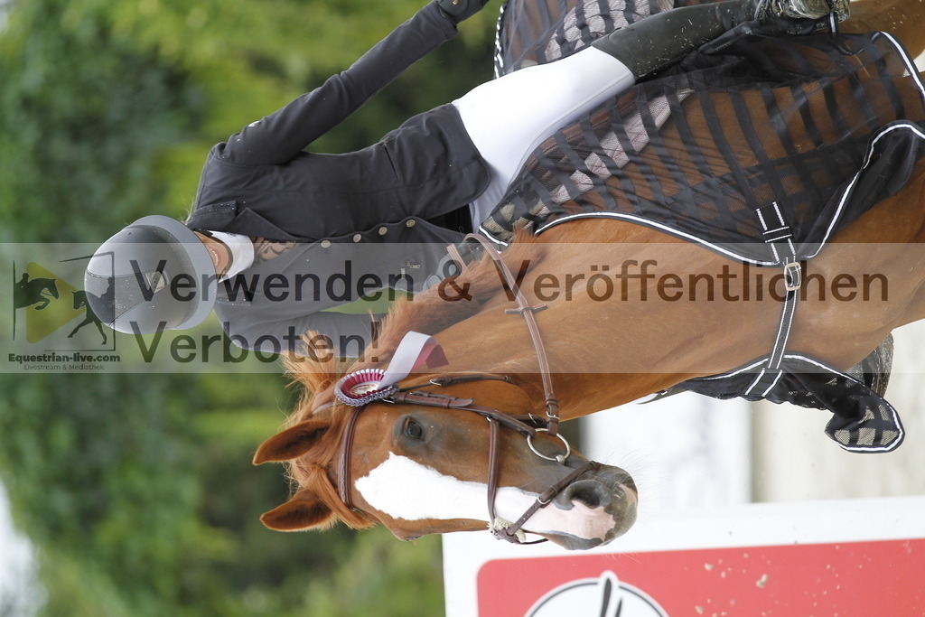 _MG_0831 | equestrian-live-com