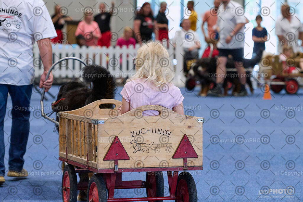 202406_ÖKV-IHA-Tulln24_DSC_4674 | proPHOTO - Realisiert mit Pictrs.com