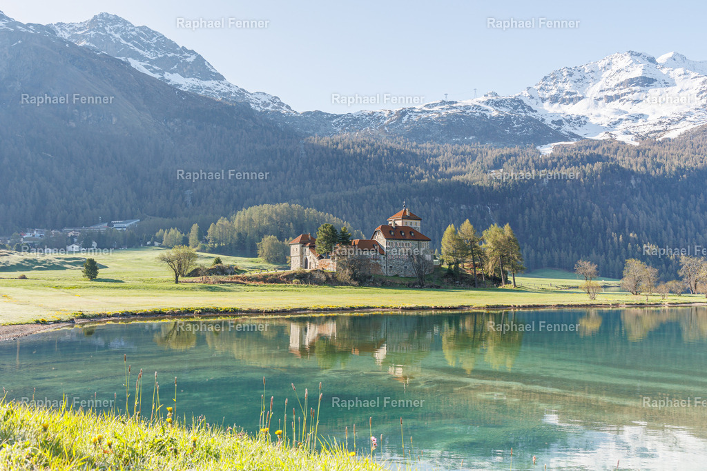 Silvaplana-Surlej | Erlebe eindrucksvolle Landschaftsfotografie aus dem Engadin und darüber hinaus. Raphael Fenner bietet zudem professionelle Fotoaufträge für Hochzeiten, Porträts und Unternehmen. Jetzt entdecken und inspirieren lassen!