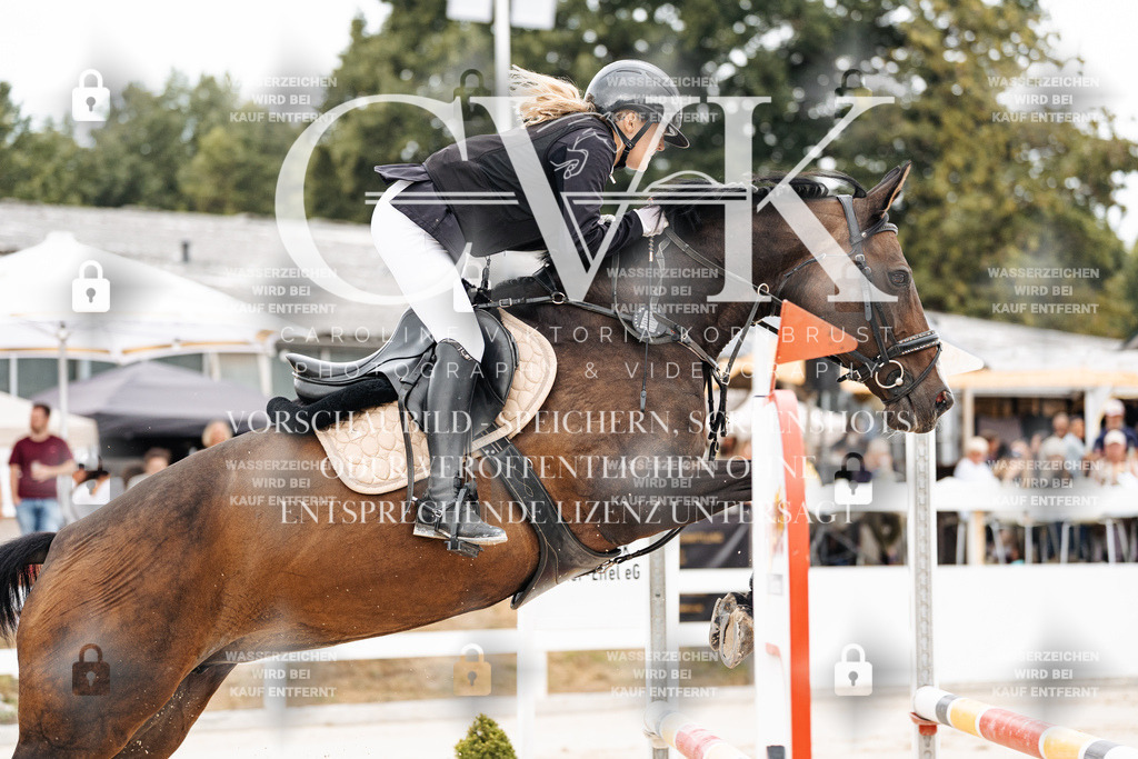 CK906343 | Turnierfotografie Pferdefotografie Trier Rheinland-Pfalz Pferdesport Reitsport Tierfotografie Sportfotografie Pferdevideo Pferdevideografie Equestrianvideography equestrianphotography  - Realisiert mit Pictrs.com