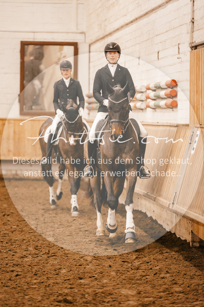 3I6A3322 | Stimmungsvolle Portraits und Reitsportfotografie im Ruhrgebiet und im Münsterland.

Pferdefotografie, Hundefotografie, Tierfotografie, Reportagen, Portraits von Tier und Mensch, Turnierfotografie in Bochum, Recklinghausen, Marl, Haltern am See, Dülmen.. - Realisiert mit Pictrs.com