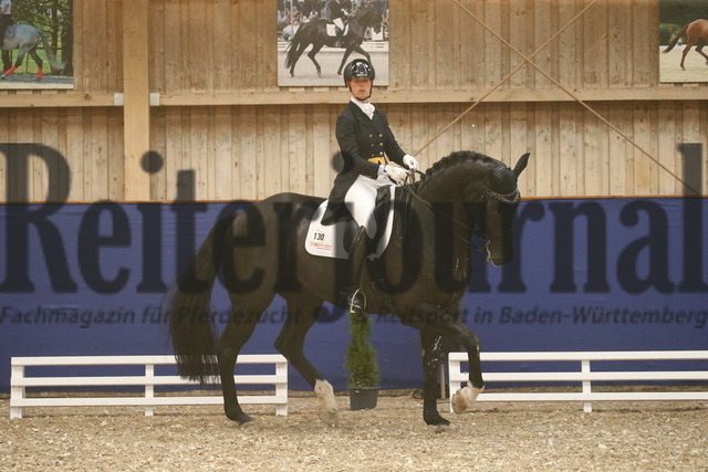 Turnier_Zeutern_2022_Prfg.Nr.02_Kurz-GrandPrix_Petra van Esch_Fiftyfifty 3 (7) | Alle Fotos der Reiterjournal Fotografin Doris Matthaes im Reiterjournal Online-Fotoshop. - Realisiert mit Pictrs.com
