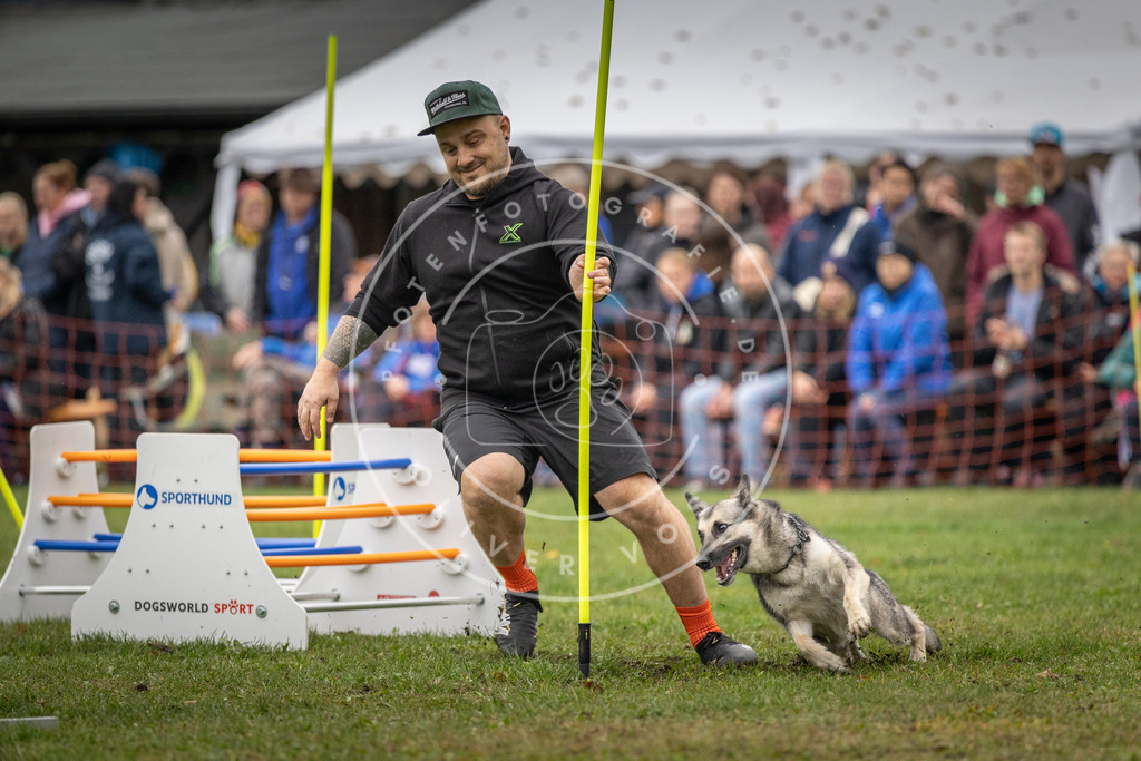 Pfotenfotografie_DV3A0128 | Hundefotografie, Tierfotograf, Pfotenfotografie, Fotoshooting Hund, Hunde Portrait, Hundesport, Hundeportraits, Heideshooting, Hunde, Sportfotograf, Hundefotograf, Turnierhundsport, THS,  - Realisiert mit Pictrs.com