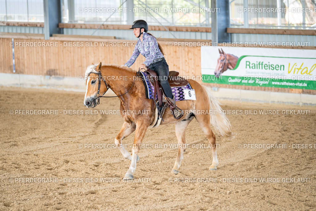 DSC02507 | Pferdegrafie