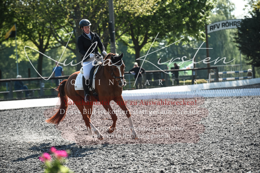 DSC_8749 | Pferde- und Turnierfotografie in Westsachsen. Pferdeportraits, Auftragszeichnungen und intuitive Kunst.