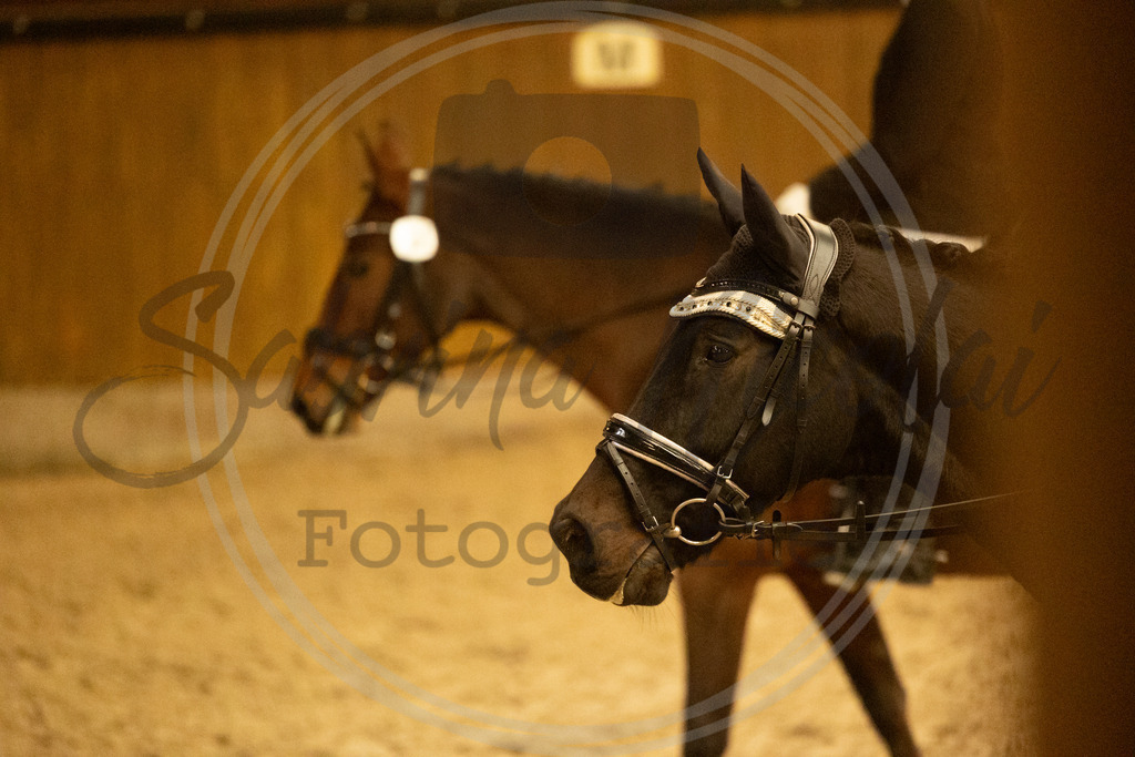 994A3594 | sabrinanicolaifotografie - Realisiert mit Pictrs.com