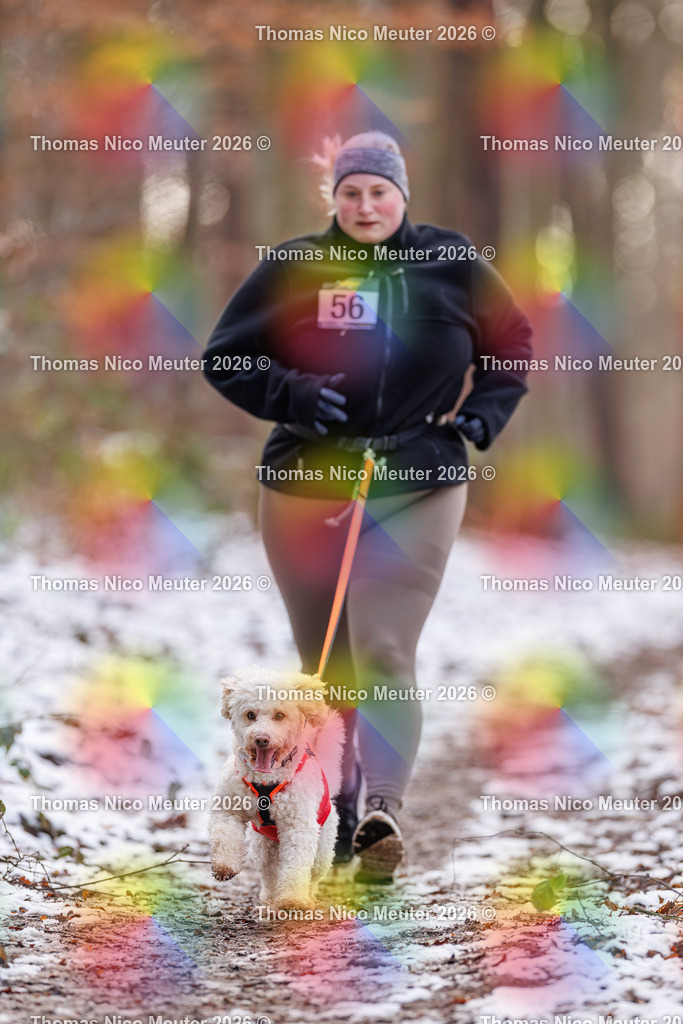 Thomas_Nico_Meuter(C)_223A8940 | Bild von Thomas Nico Meuter - Realisiert mit Pictrs.com