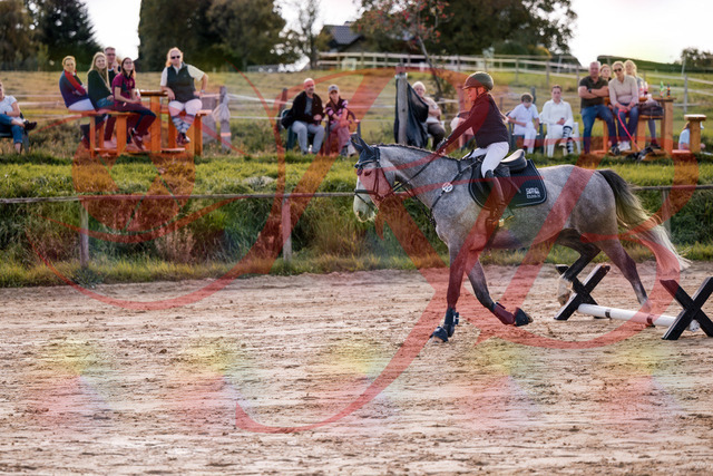 2026_10_03_Siefer-Hof_145111_Z81_29705047 | Professionelle Reitsport-, Turnier- und Eventfotografie von Robert Broda. Galerien mit ausgewählten und bearbeiteten Bildern direkt online ansehen und bestellen.