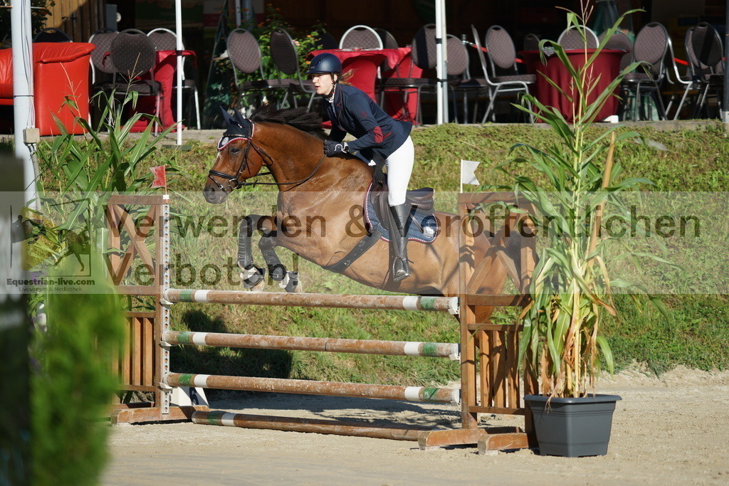 DSC02176 | equestrian-live-com