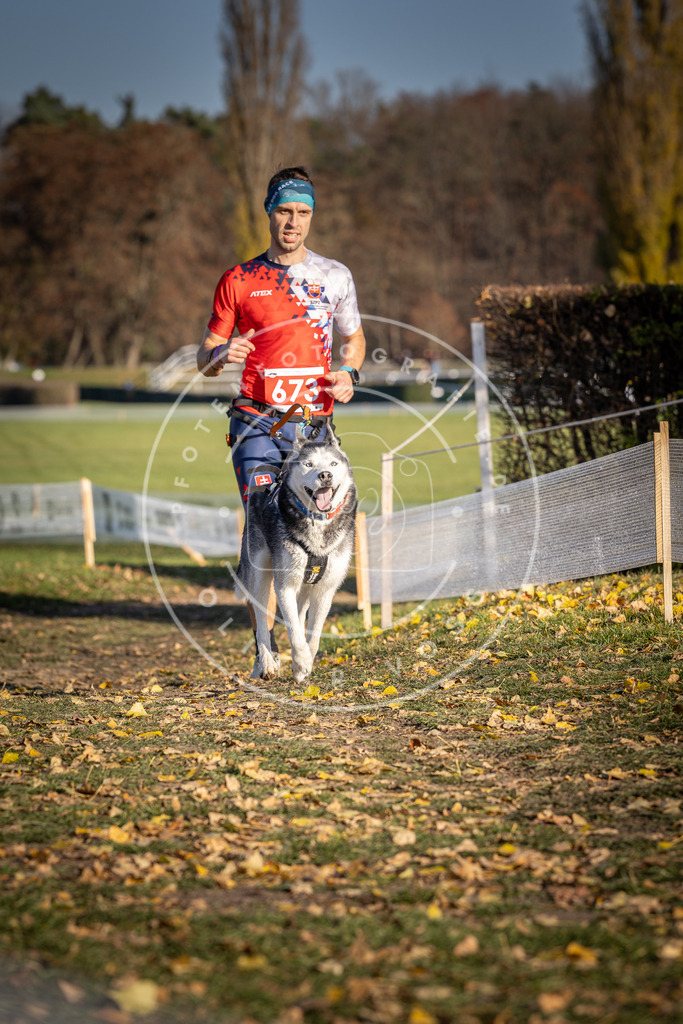 CaniXpix_DV3A0918 | Hundefotografie, Tierfotograf, Pfotenfotografie, Fotoshooting Hund, Hunde Portrait, Hundesport, Hundeportraits, Heideshooting, Hunde, Sportfotograf, Hundefotograf, Turnierhundsport, THS,  - Realisiert mit Pictrs.com