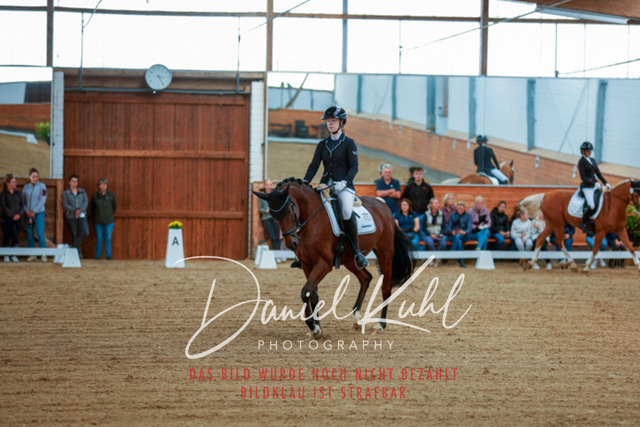 _62_5182 | Turniersportfotografie; Pferdefotografie; Dressurfotografie