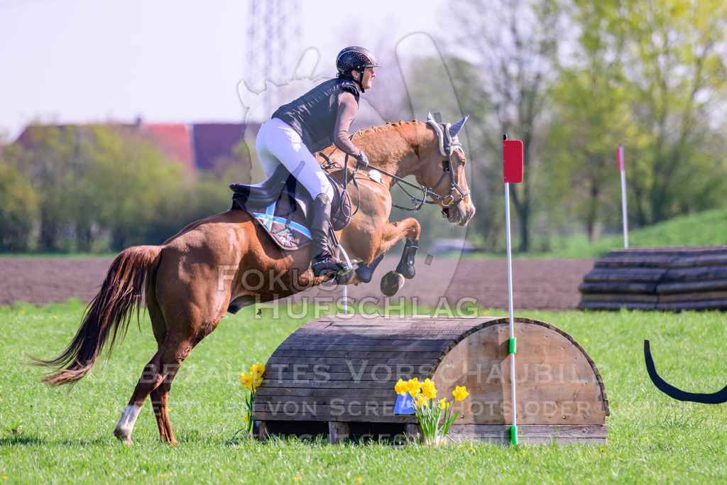 18042026-Gernlinden-03-0358 | Fokus Hufschlag Fotografie - Realisiert mit Pictrs.com